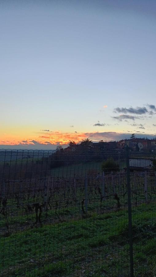 Bed & Breakfast Il Cortile Di Greta Lu (Piedmont)